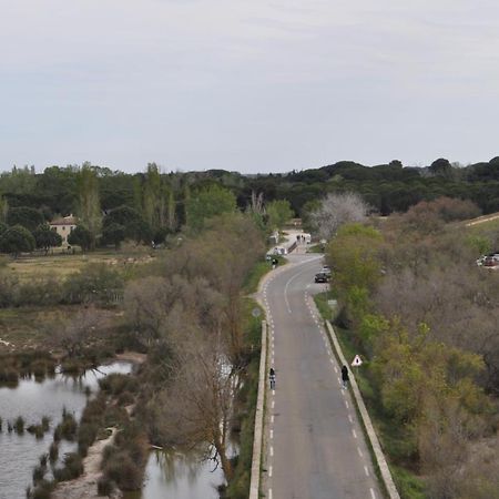 Vacances En Camargue Proche De La Mer Climatise Aigues-Mortes Exterior foto