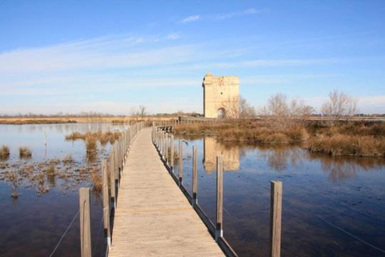 Vacances En Camargue Proche De La Mer Climatise Aigues-Mortes Exterior foto