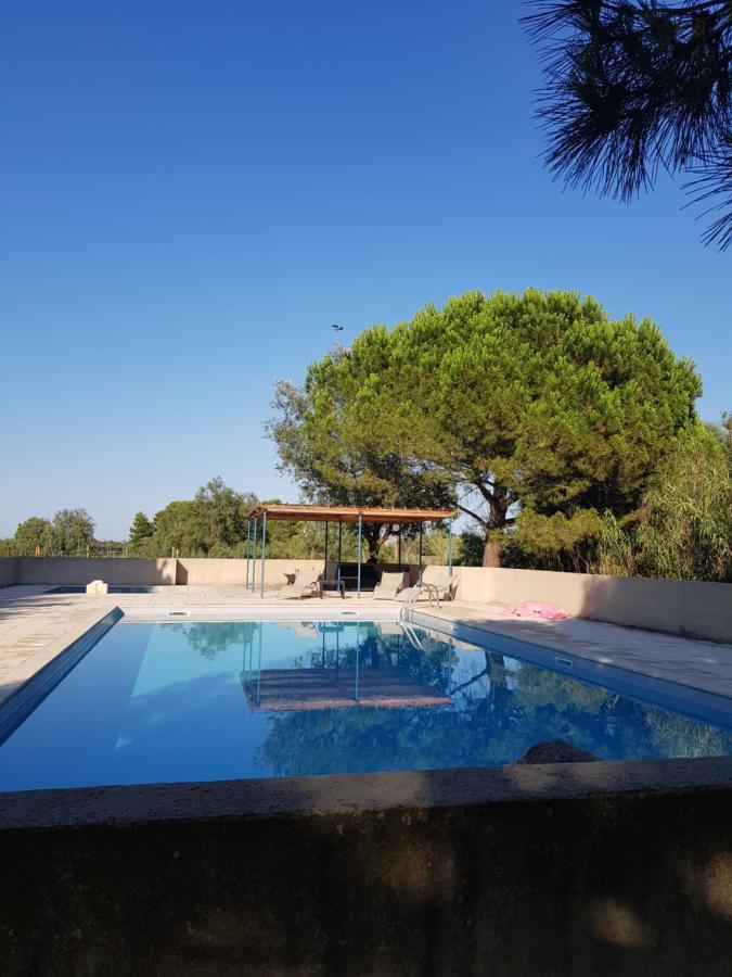 Vacances En Camargue Proche De La Mer Climatise Aigues-Mortes Exterior foto
