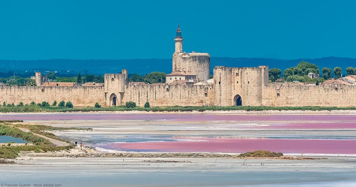 Vacances En Camargue Proche De La Mer Climatise Aigues-Mortes Exterior foto