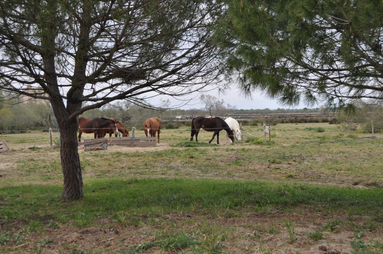 Vacances En Camargue Proche De La Mer Climatise Aigues-Mortes Exterior foto